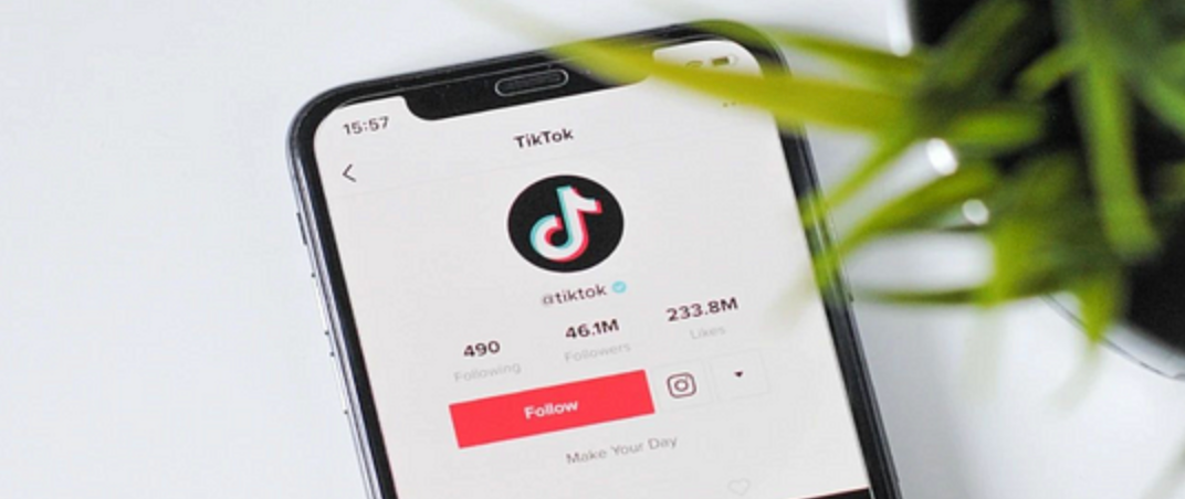 怎样使用 TikTok 玩转自力站？？？？？？？？来聊聊 TikTok流量池