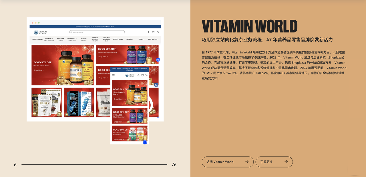 Vitamin World案例总结