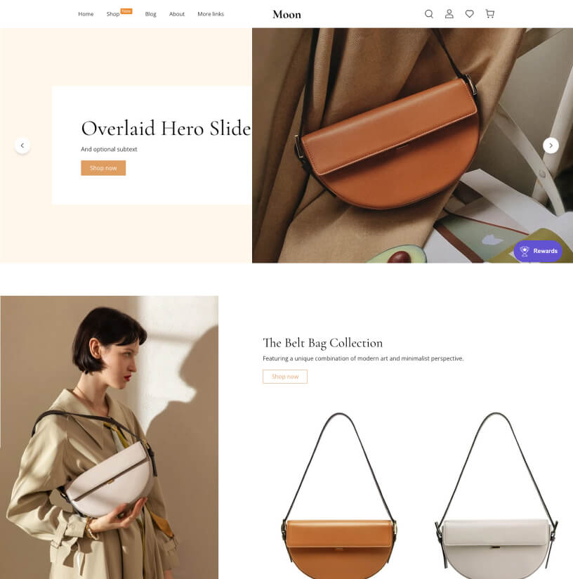 跨境自力站建站平台与电商解决计划 ｜STAKE中国官方网站 Shoplazza