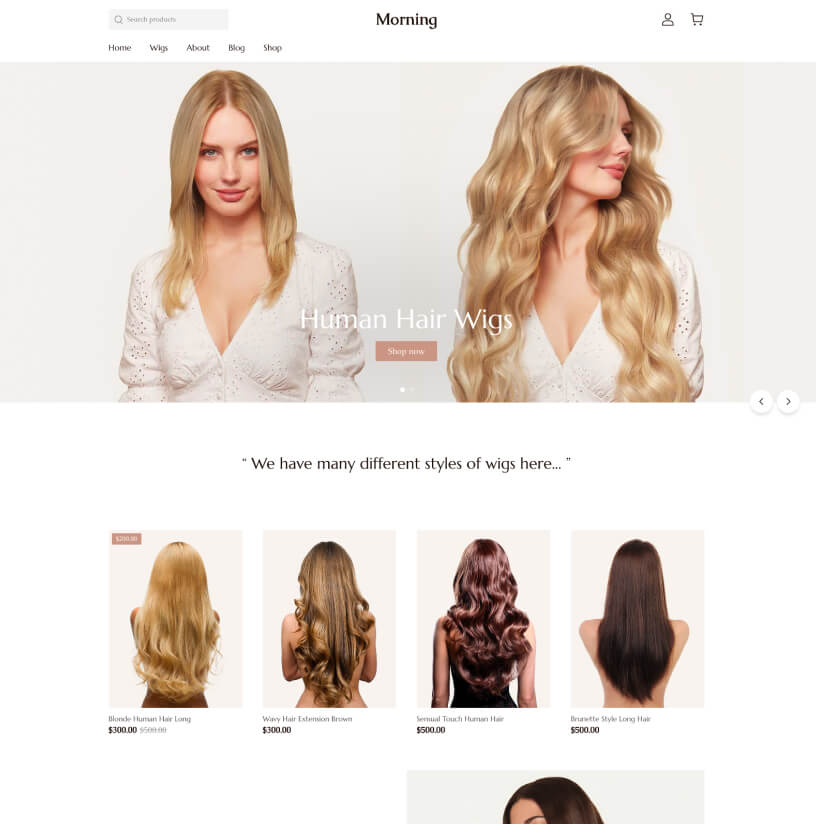 跨境自力站建站平台与电商解决计划 ｜STAKE中国官方网站 Shoplazza